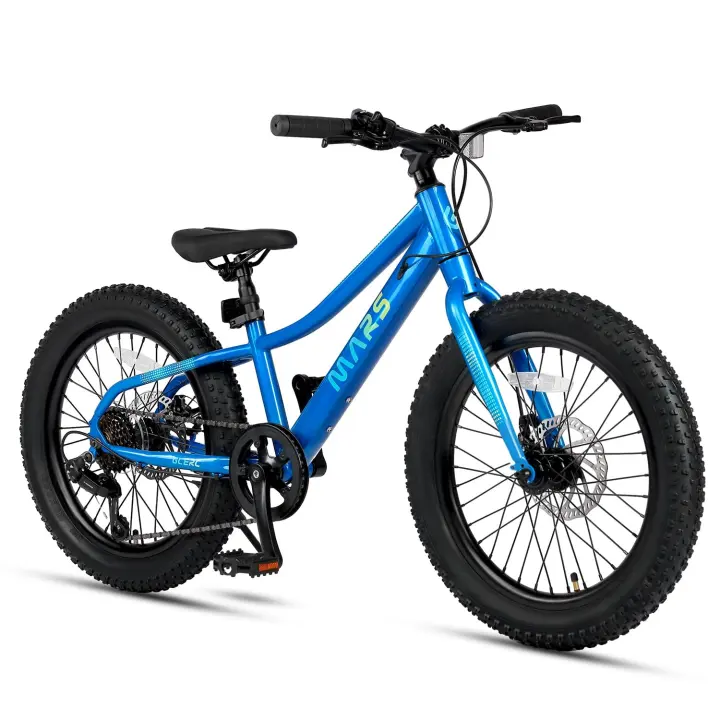 20-Inch Kids Fat-Tire Mountain Bike — 6-Speed, Disc Brakes