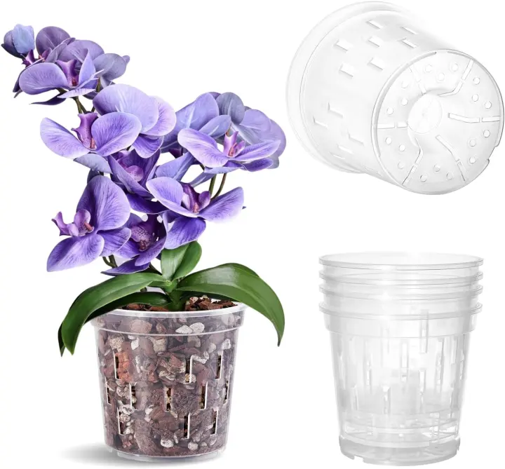 Clear 5-Inch Orchid Pots — 4-Pack with Drainage Holes