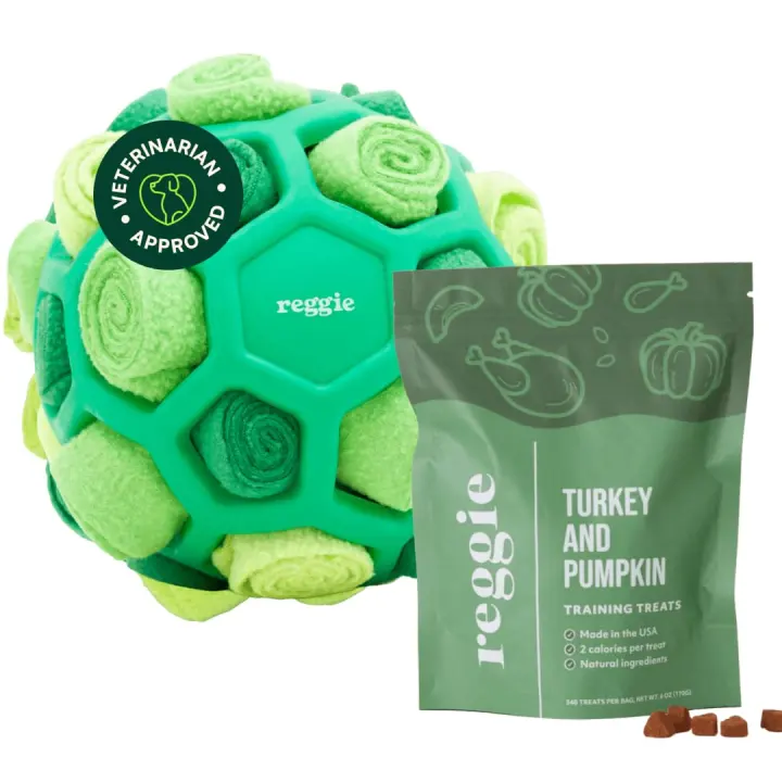 Dog Enrichment Bundle: Forager Ball with Turkey & Pumpkin Training Treats