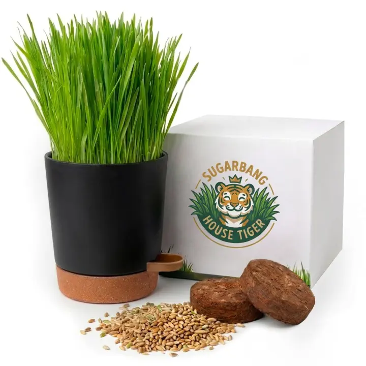 House Tiger Cat Grass Growing Kit with Self-Watering Planter
