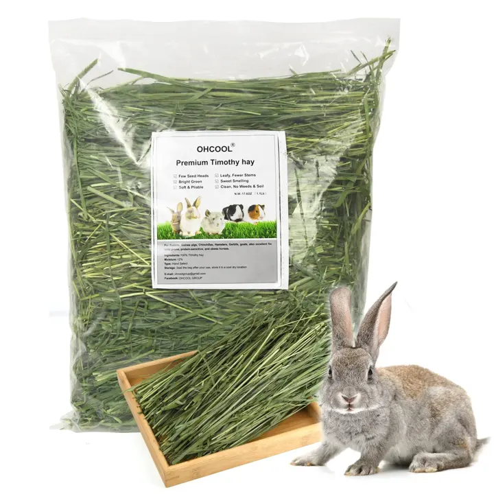 Ohcool Timothy Hay — 1.1 lb Dust-Free Natural Hay for Small Pets