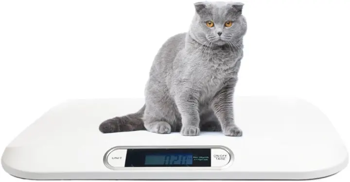 Portable Digital Pet Scale for Cats & Small Animals — 44 lb Capacity