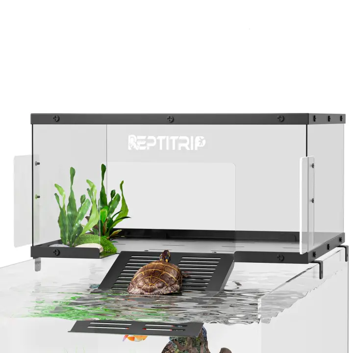 XL Stainless-Steel Turtle Basking Platform — Clear Polycarbonate for 18–20 in Tanks